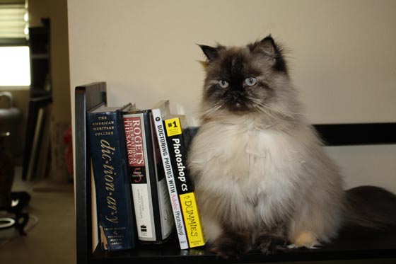 Marcy the Bookend