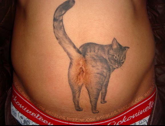 cat tattoo on belly. The cat tattoo designed to