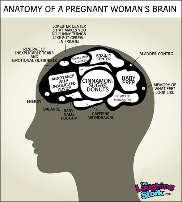 Anatomy of a Pregnant Woman's Brain - The Laughing Stork