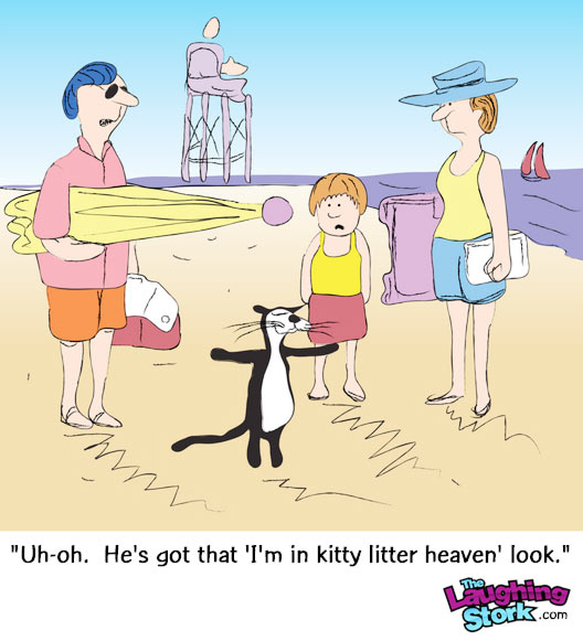 cat-beach-cartoon